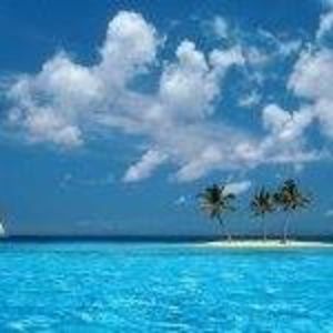 Meet your Posher, Darlene